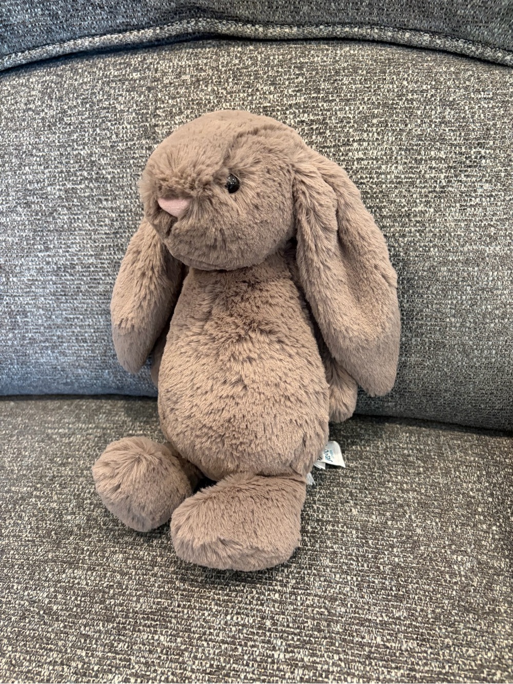 Jellycat Truffle Bunny MED